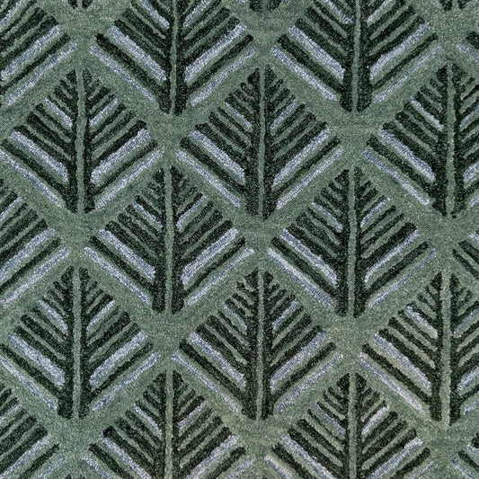 Sequoia Pine
