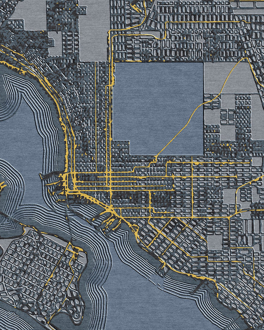 San Diego Map Greys