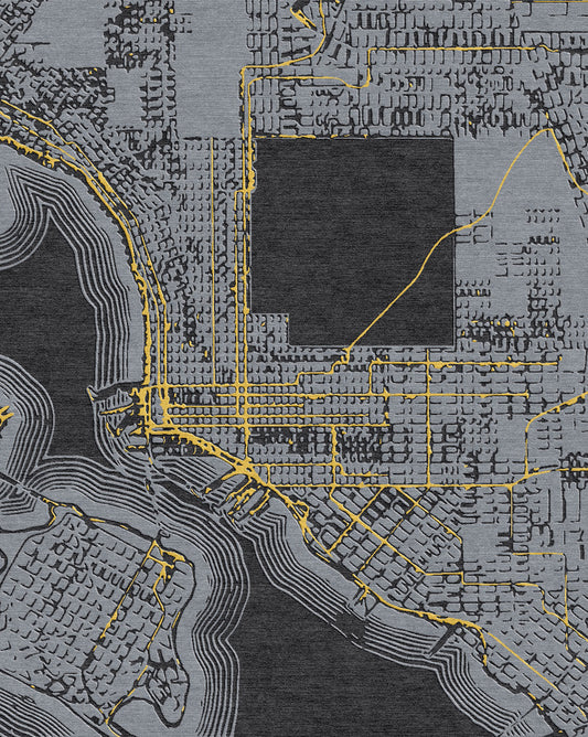 San Diego Map Charcoal